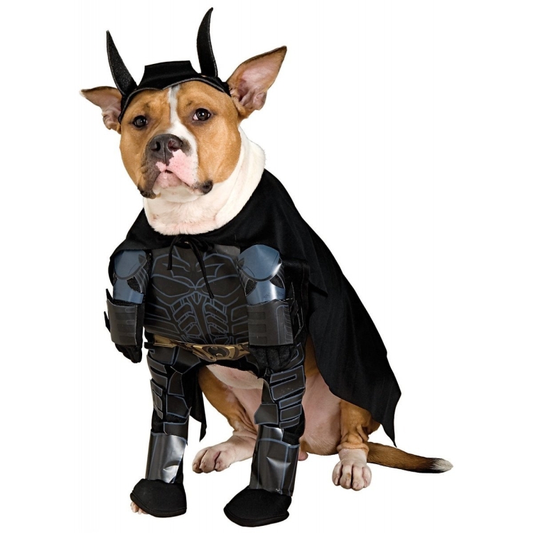 Batman The Dark Knight Pet Costume